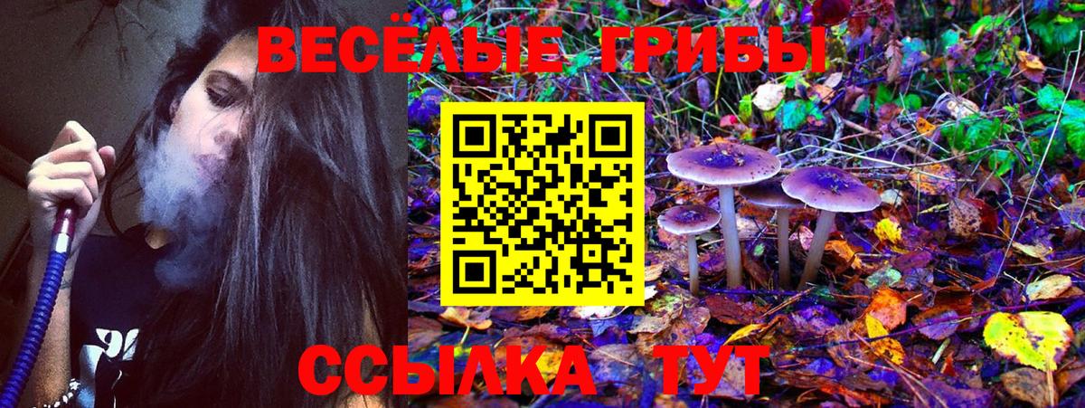 Галлюциногенные грибы Magic Shrooms  Вход с VPN  Ялуторовск 